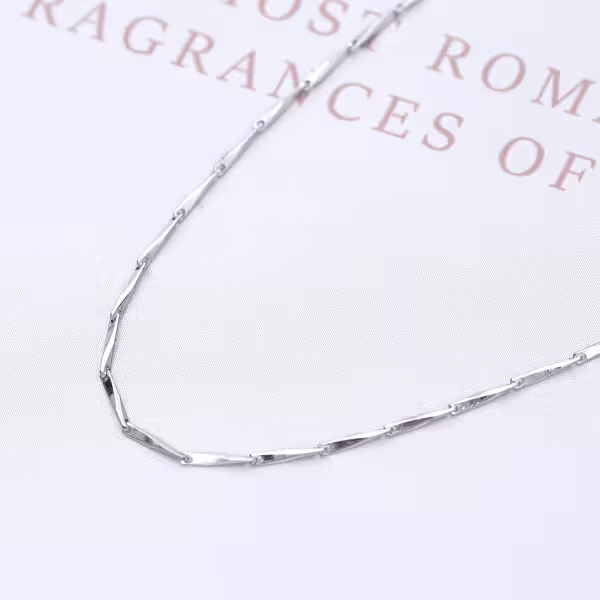 925銀飾&times;素瓜子鍊&times;鎖骨項鍊