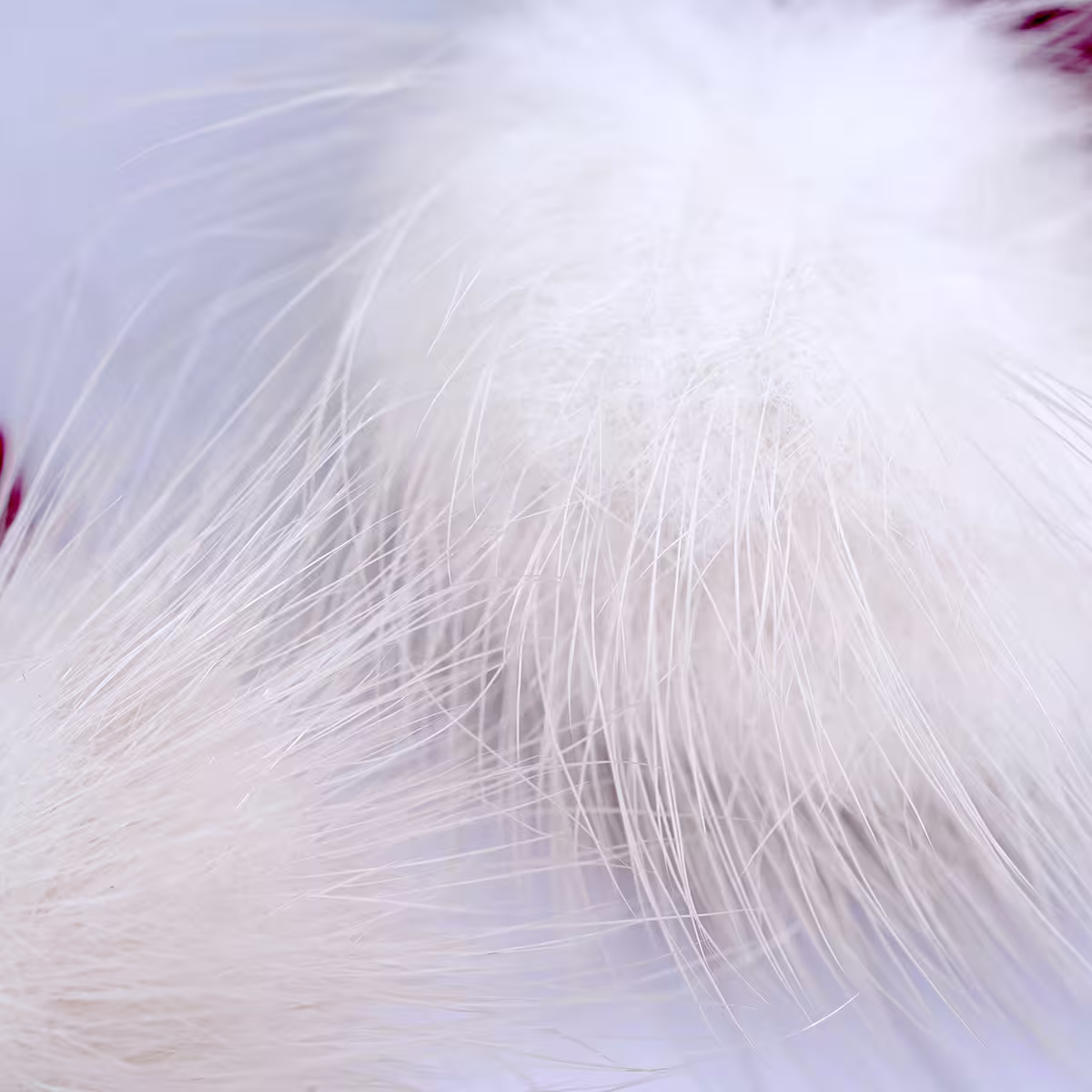 雪花紅絨毛球&times;吊墜耳環-第5張