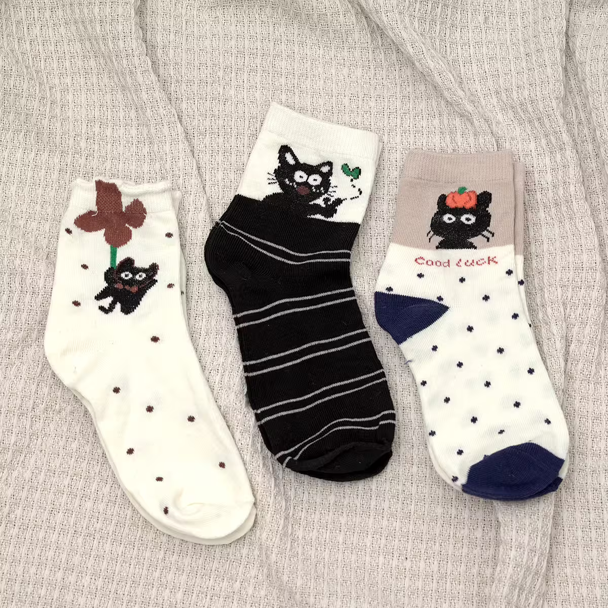 黑貓&times;低筒襪&times;三雙套件襪子組-第1張