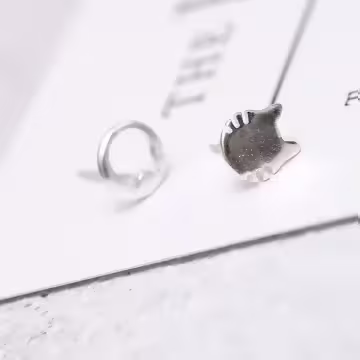 925銀針×小龍貓×耳針