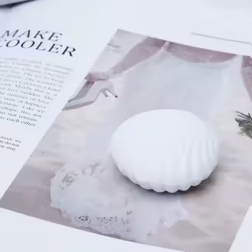 雪白貝殼×適用項鍊/手鍊/小耳釘×絨布盒