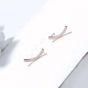 弧線流蘇垂鑽×後掛式吊墜耳環