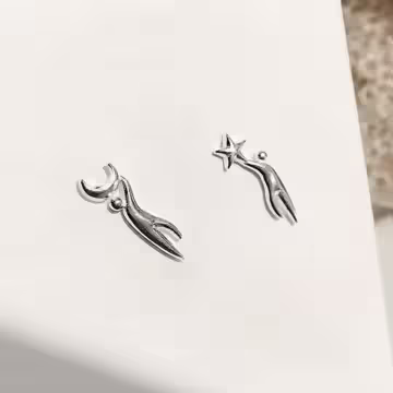 925銀針×追星捧月×耳針