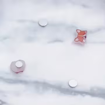 柯基小屁屁×磁吸耳夾/裝飾小物