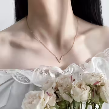 316鋼飾×雅緻V字母×鎖骨項鍊×玫瑰金