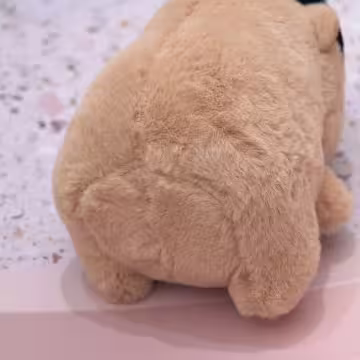 結婚卡皮巴拉×娃娃×掛件×共二色